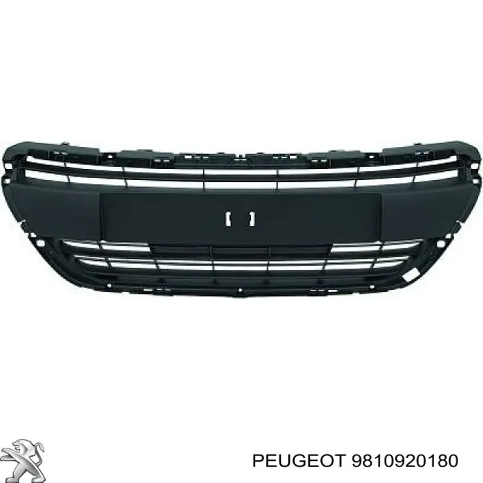 Облицювання радіатора FPS FP5426993 ціна, від 33.63 USD