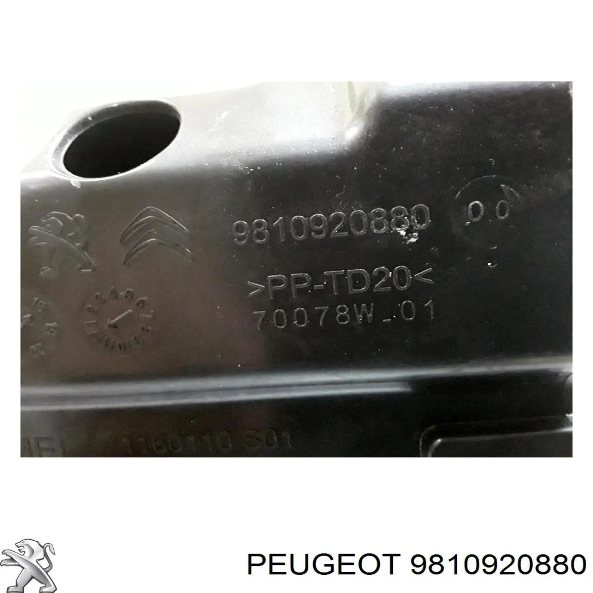 9810920880 Peugeot/Citroen Резонатор повітряного фільтра