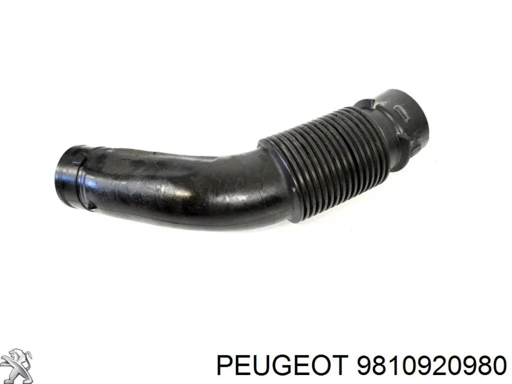 9677691780 Peugeot/Citroen Патрубок повітряний, вхід повітряного фільтра