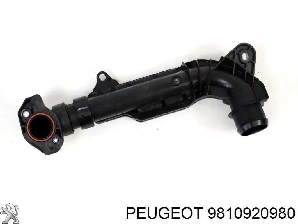 Патрубок повітряний, вхід повітряного фільтра Peugeot 508 2 (FB, FH, F3) (Пежо 508)