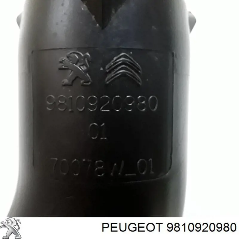 Купити 9677691780 Peugeot/Citroen Патрубок повітряний, вхід повітряного фільтра