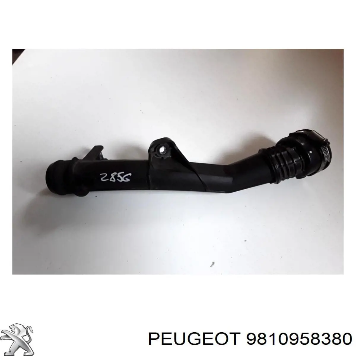9810958380 Peugeot/Citroen Трубка, що нагнітається