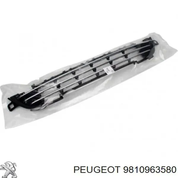 Решітка переднього бампера, центральна Peugeot/Citroen 16800259XT ціна, від 22.76 USD