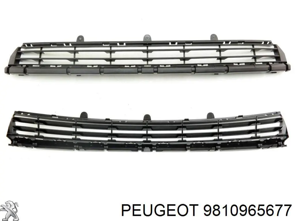 9810965677 Peugeot/Citroen 