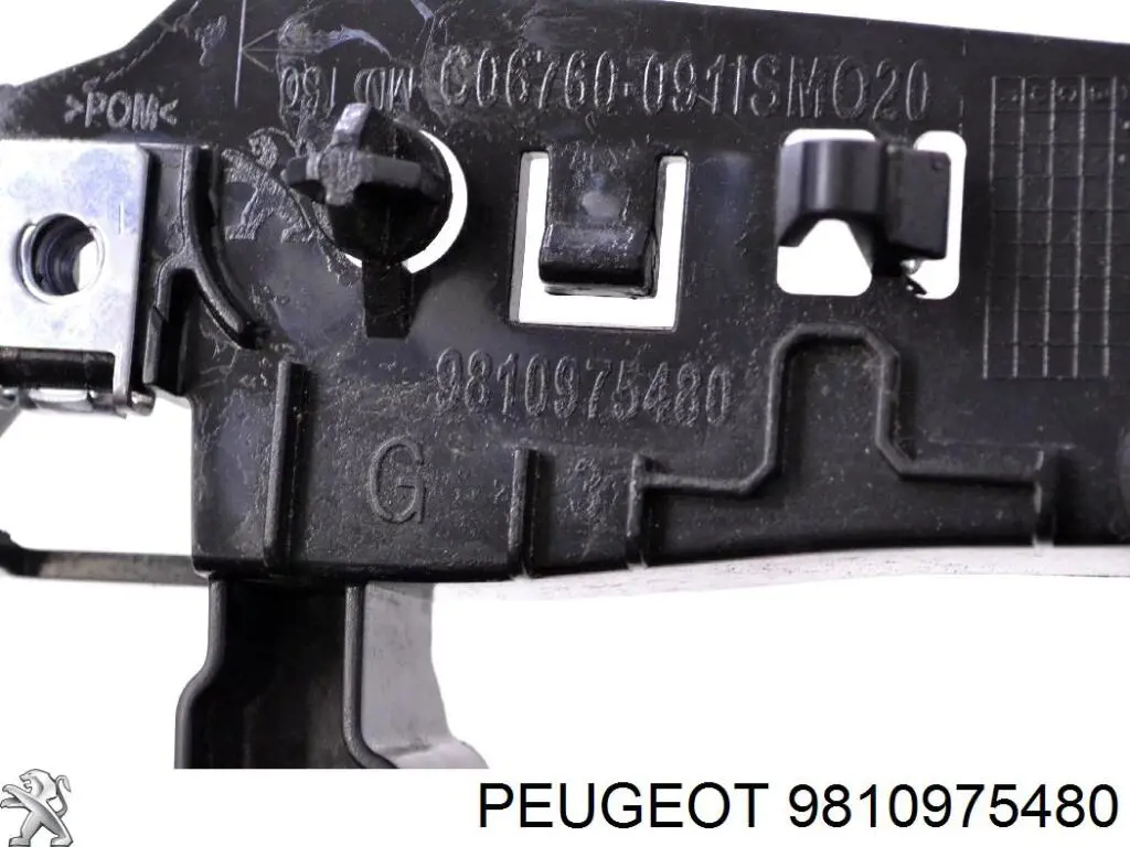 9810975480 Peugeot/Citroen 