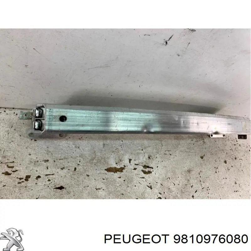 Шина бампера переднього Peugeot/Citroen 9810976080 ціна, від 129.36 USD
