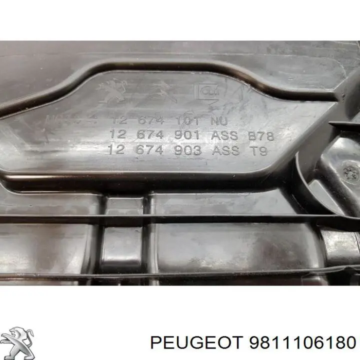 9813676180 Peugeot/Citroen Бак AD BLUE