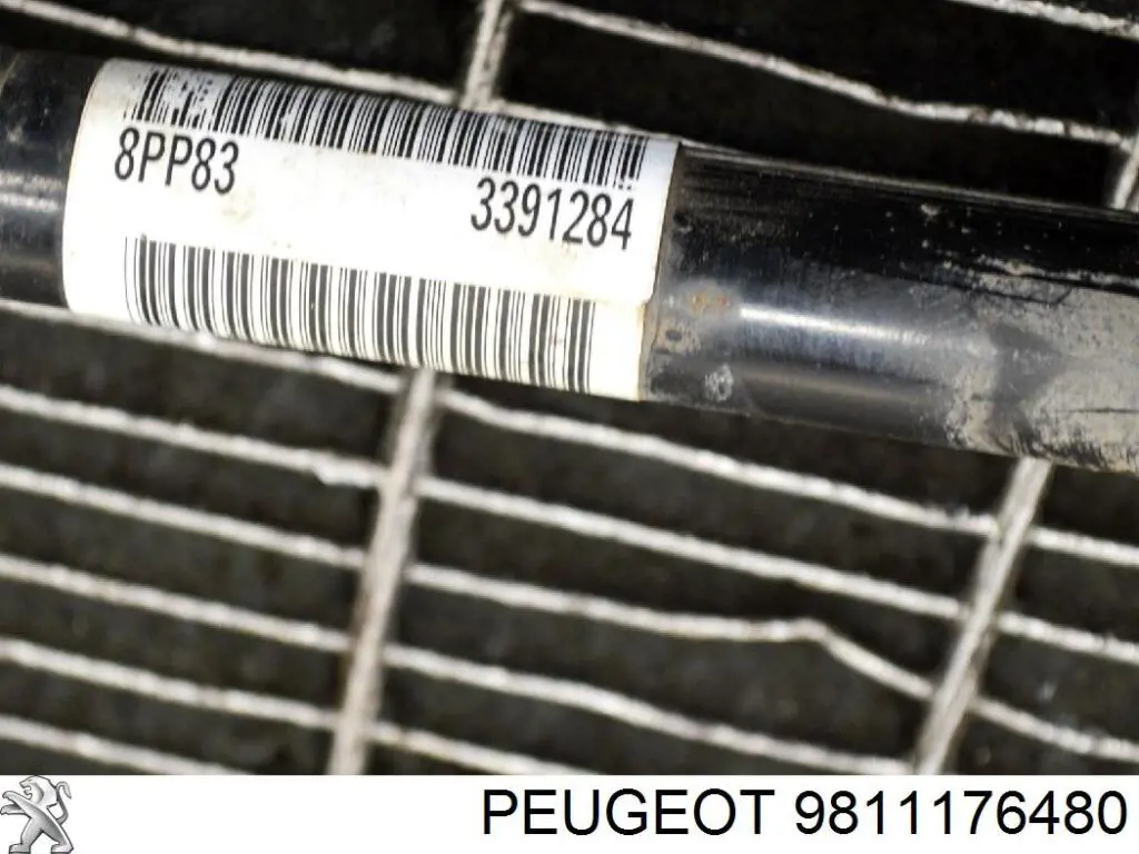 9811176480 Peugeot/Citroen Привід передній правий