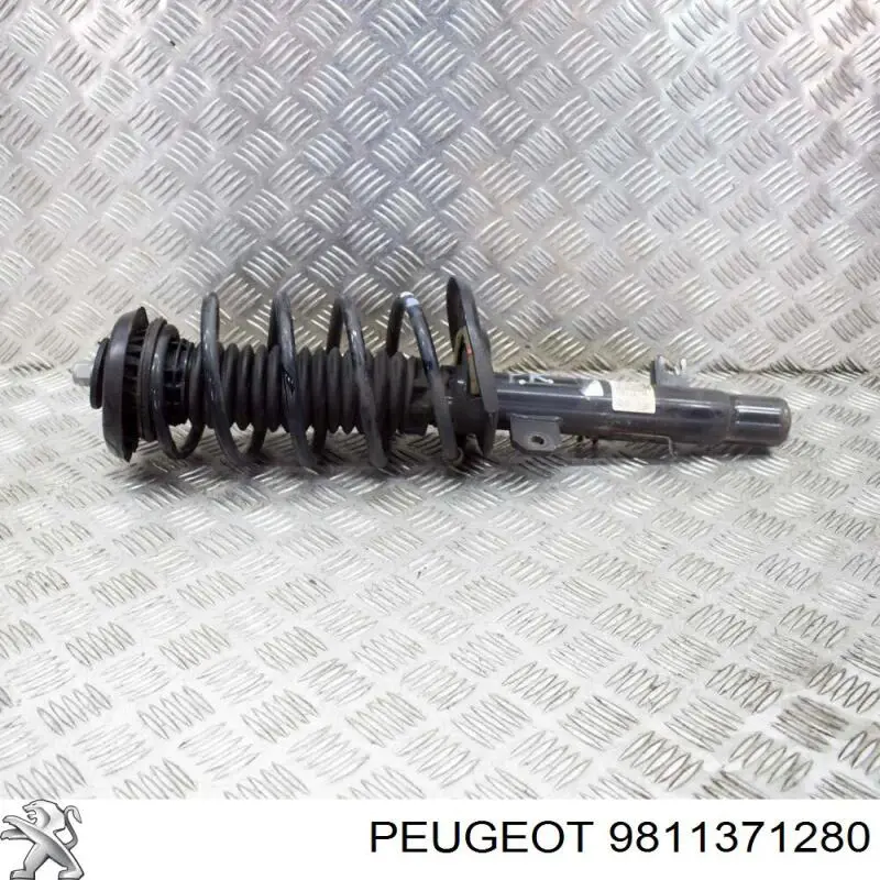 Купити 9811371280 Peugeot/Citroen Амортизатора передній лівий