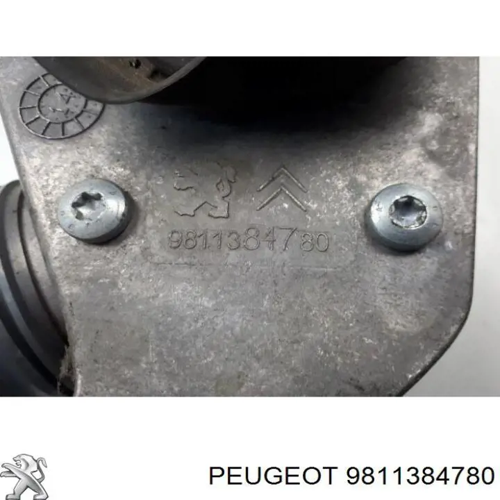 9811384780 Peugeot/Citroen Датчик витрати повітря