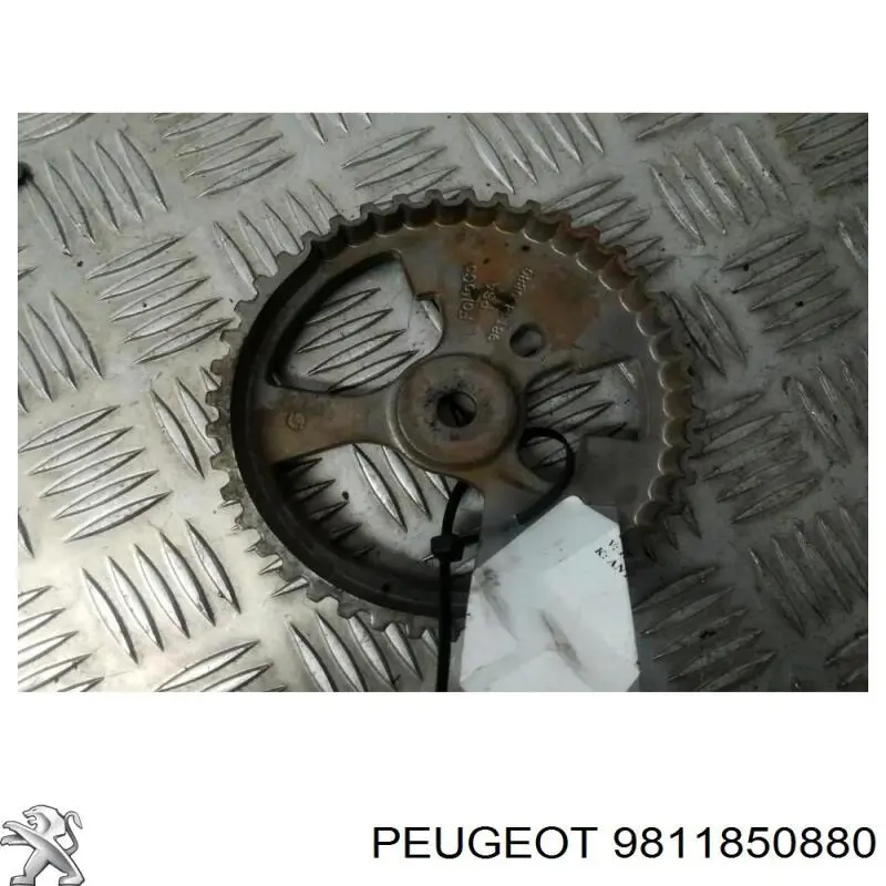 9811850880 Peugeot/Citroen 