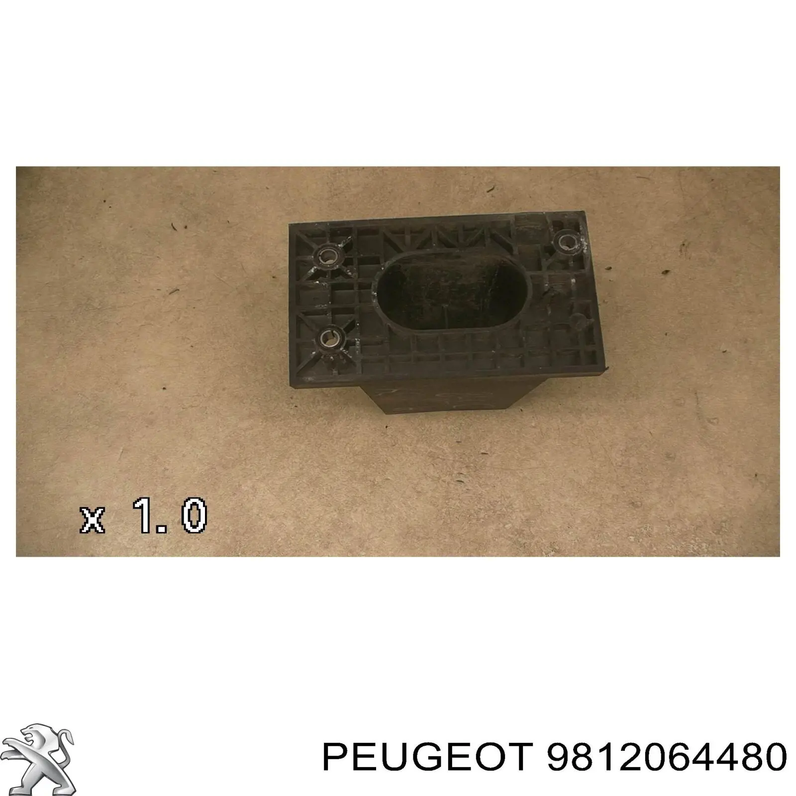 9812064480 Peugeot/Citroen 