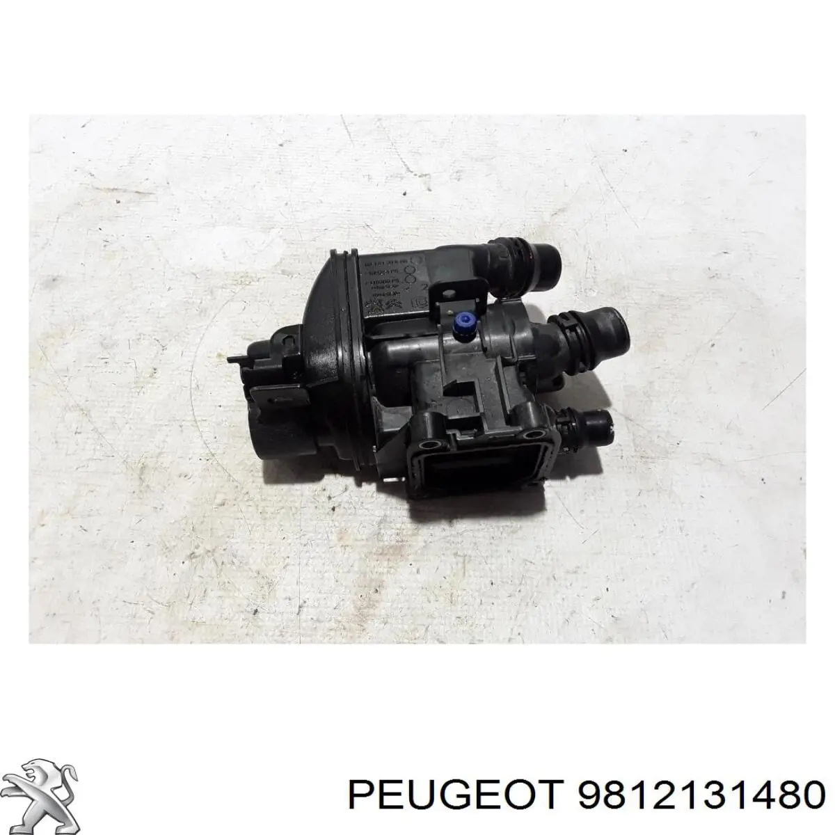 9812131480 Peugeot/Citroen 
