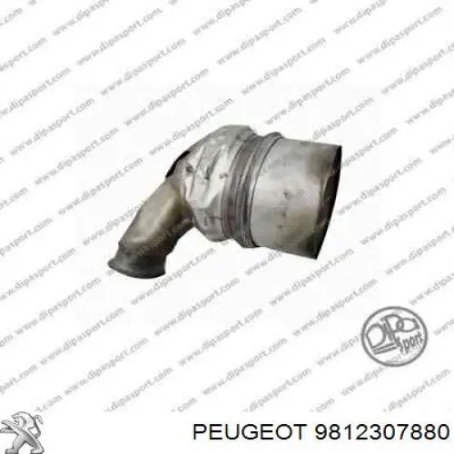 Купити 9812307880 Peugeot/Citroen Сажевый фільтр