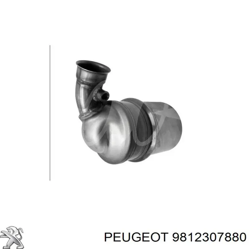 9812307880 Peugeot/Citroen Фільтр ДПФ