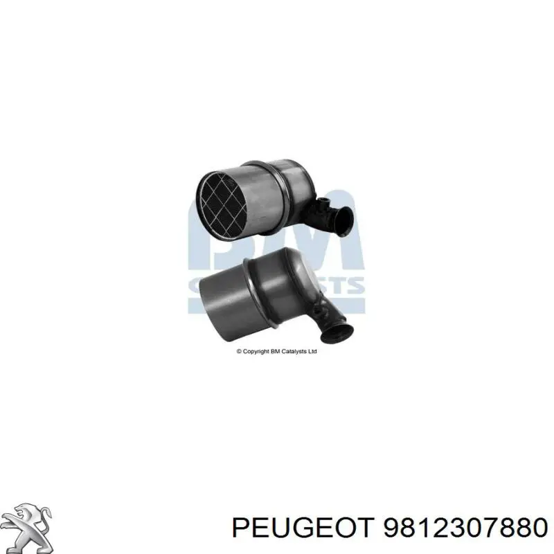 Сажевый фільтр 9812307880 Peugeot/Citroen