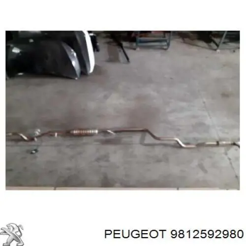 9812592980 Peugeot/Citroen Штани глушника передні