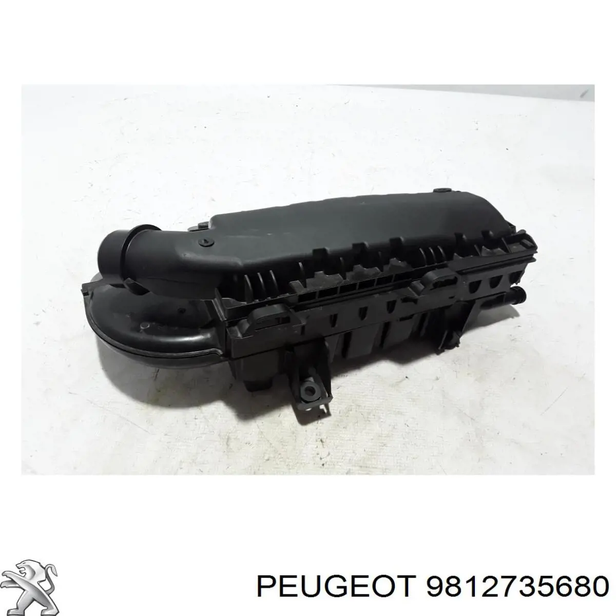 9812735680 Peugeot/Citroen Коробка фільтра