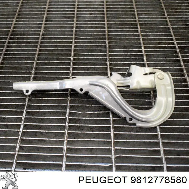 9812778580 Peugeot/Citroen Капот