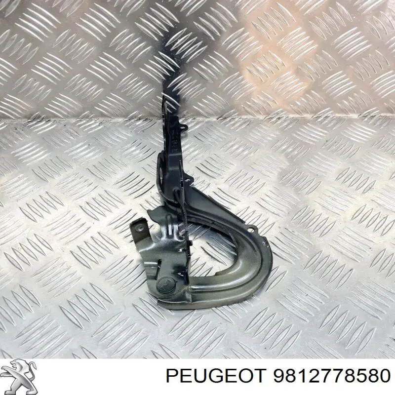 Капот 9812778580 Peugeot/Citroen