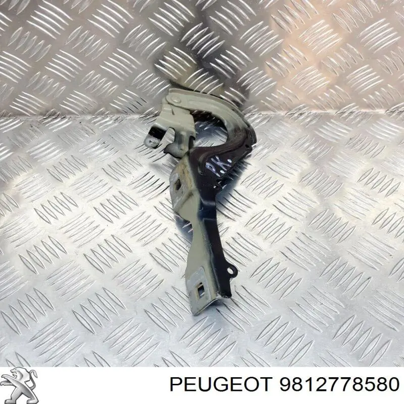 Купити 9812778580 Peugeot/Citroen Капот