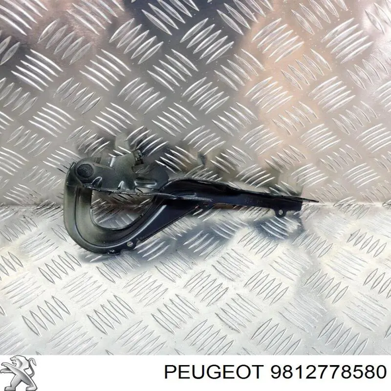 Капот Peugeot/Citroen 9812778580 ціна, від 42.80 USD