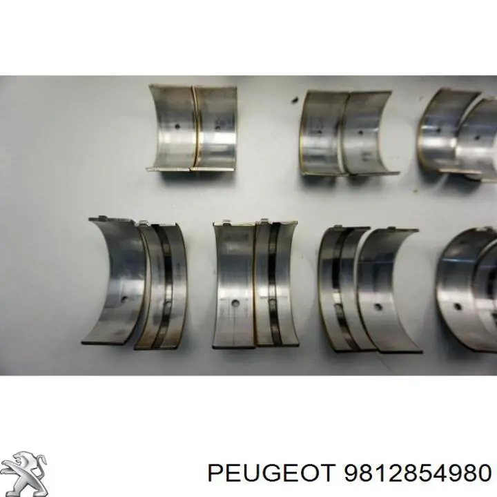 Купити 9812854980 Peugeot/Citroen 