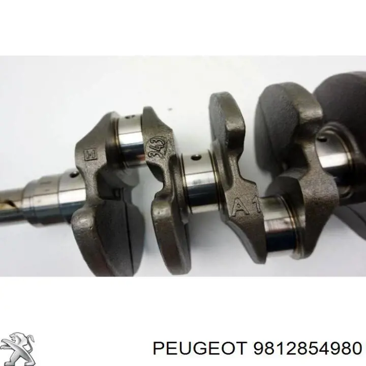  9812854980 Peugeot/Citroen