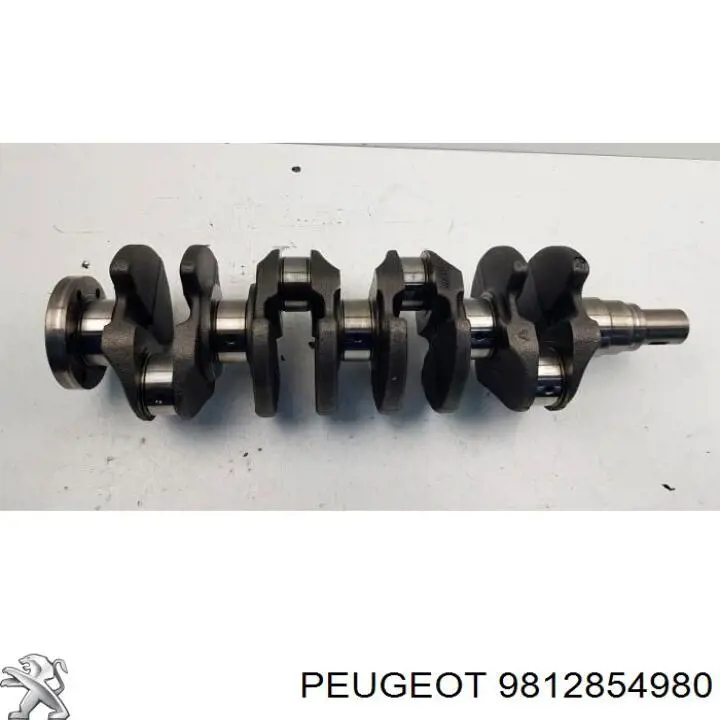  Peugeot/Citroen 9812854980