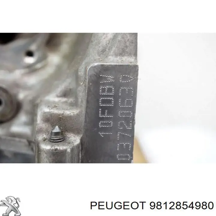 9812854980 Peugeot/Citroen 