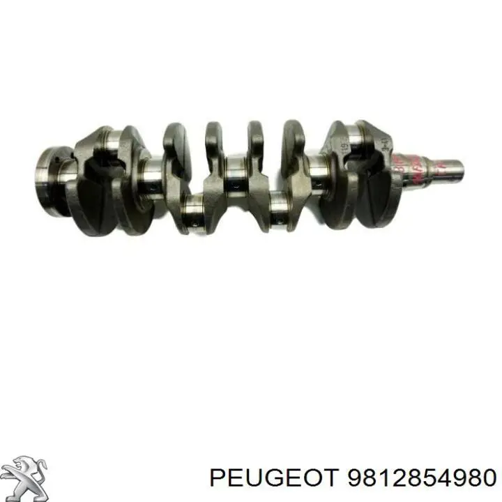  9812854980 Peugeot/Citroen