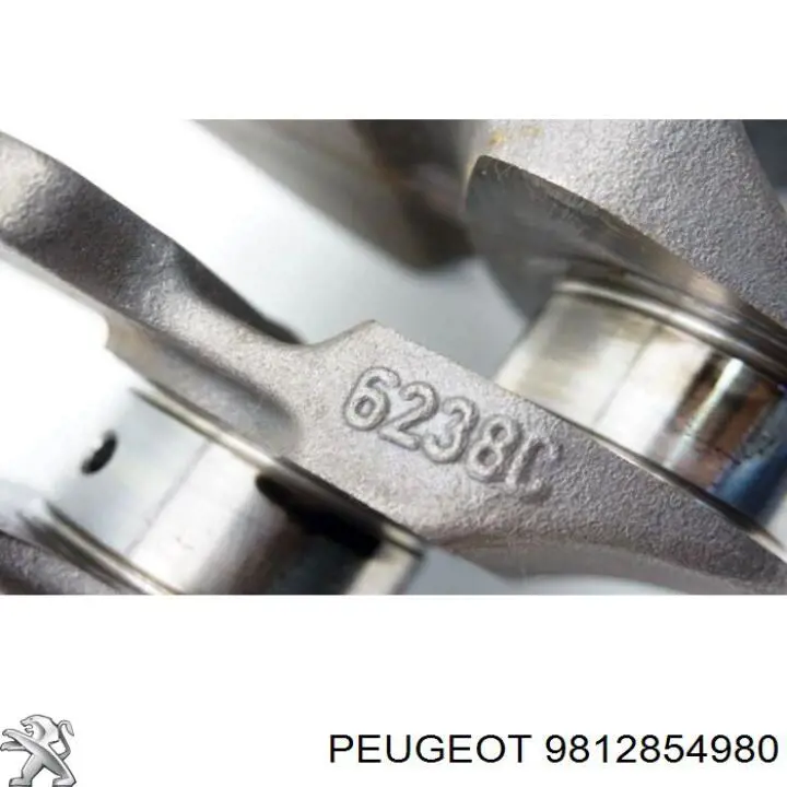  Peugeot/Citroen 9812854980 ціна, від 70.54 USD