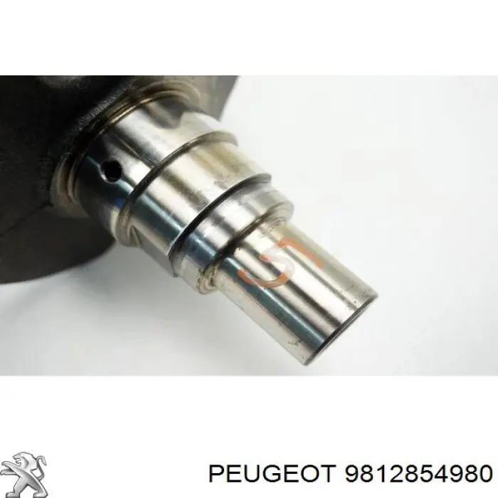 Купити 9812854980 Peugeot/Citroen 