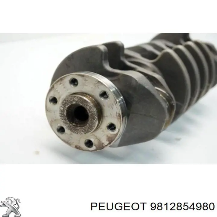  9812854980 Peugeot/Citroen
