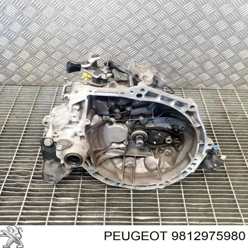  9812975980 Peugeot/Citroen