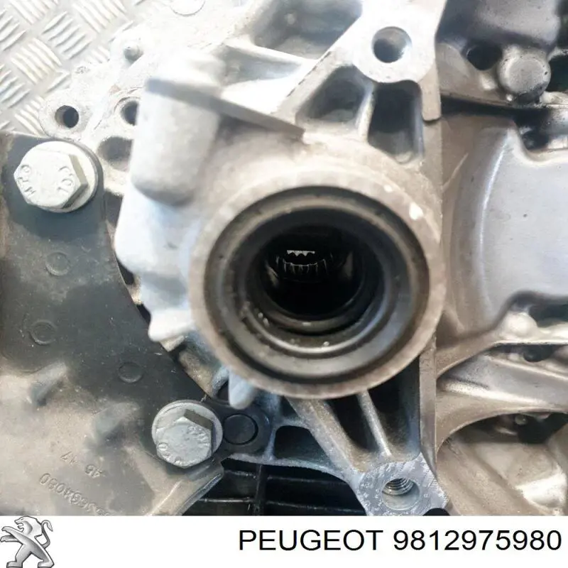 Купити 9812975980 Peugeot/Citroen 