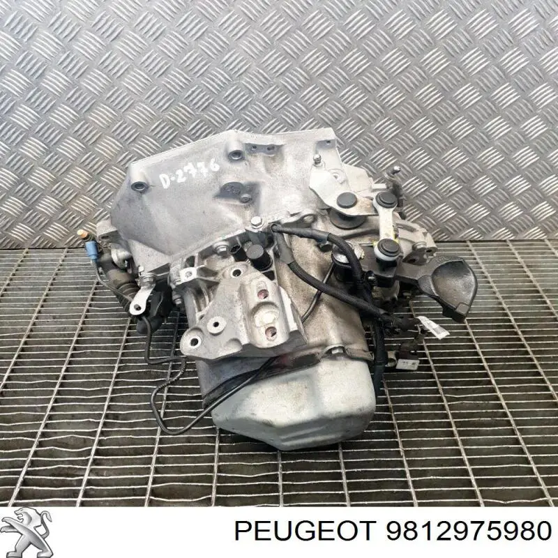9812975980 Peugeot/Citroen 
