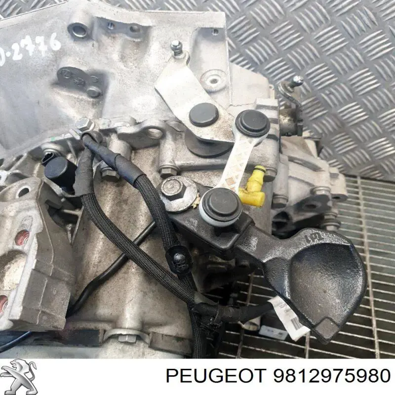  9812975980 Peugeot/Citroen