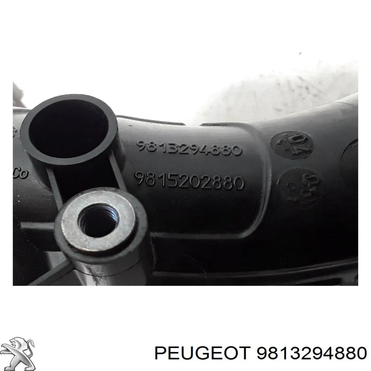 9813294880 Peugeot/Citroen патрубок повітряний, дросельної заслінки