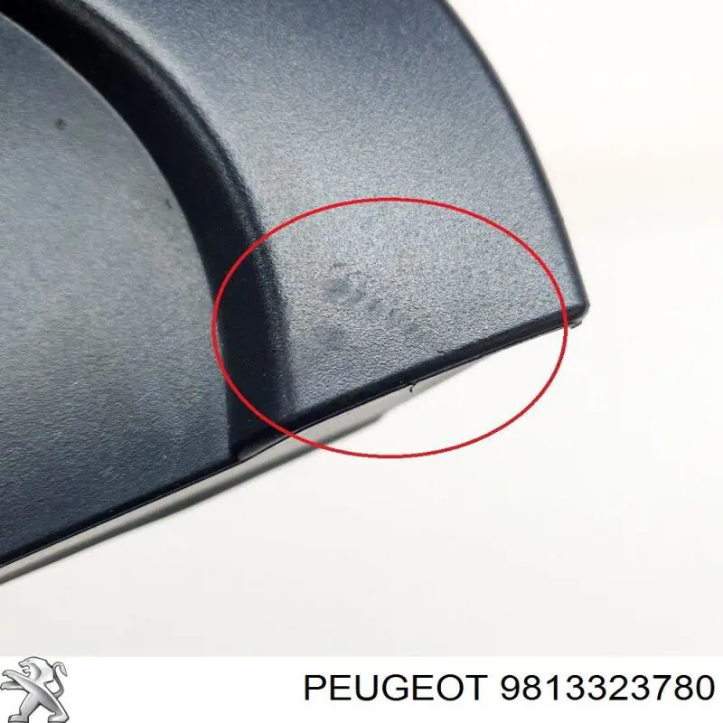 9813323780 Peugeot/Citroen 