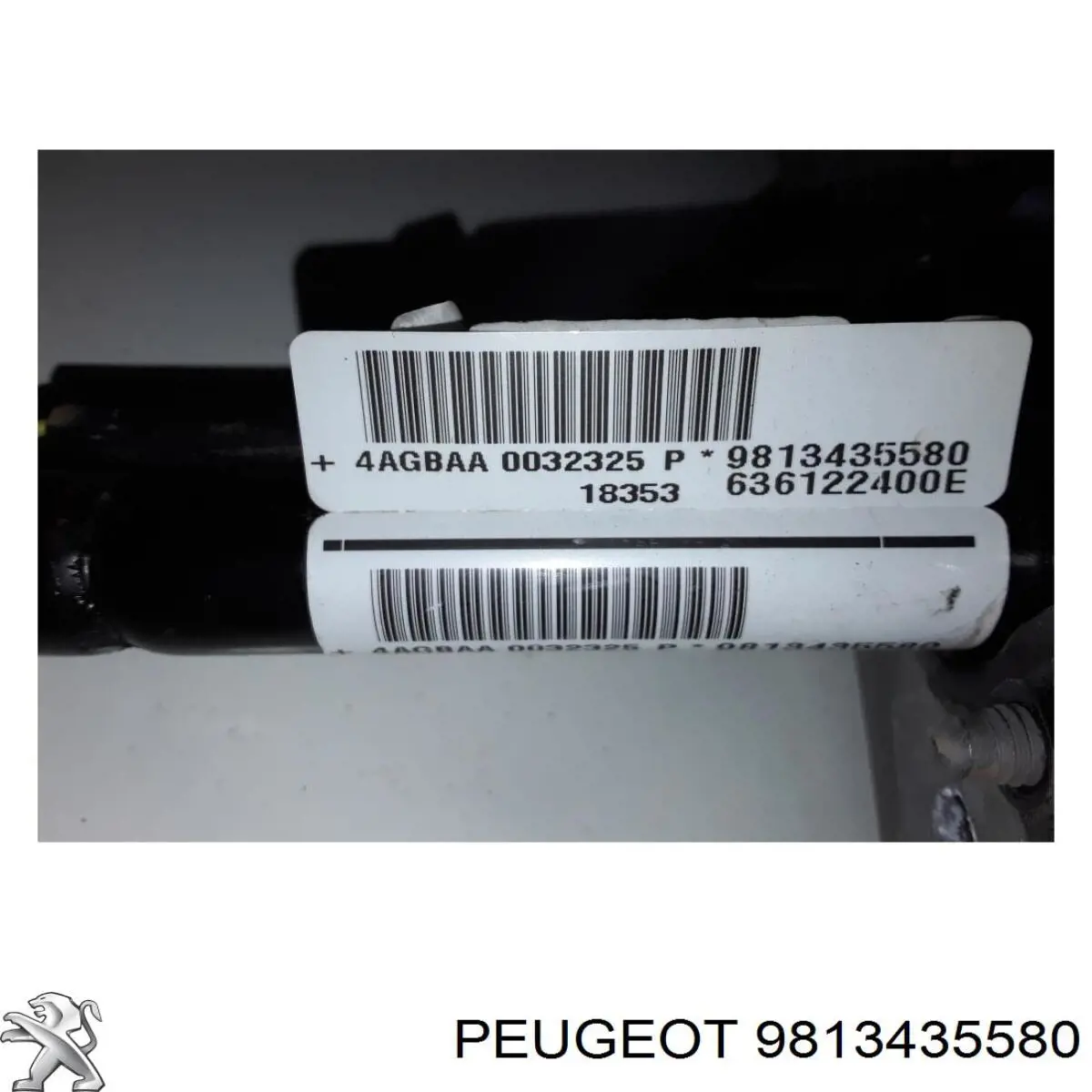9813435580 Peugeot/Citroen 