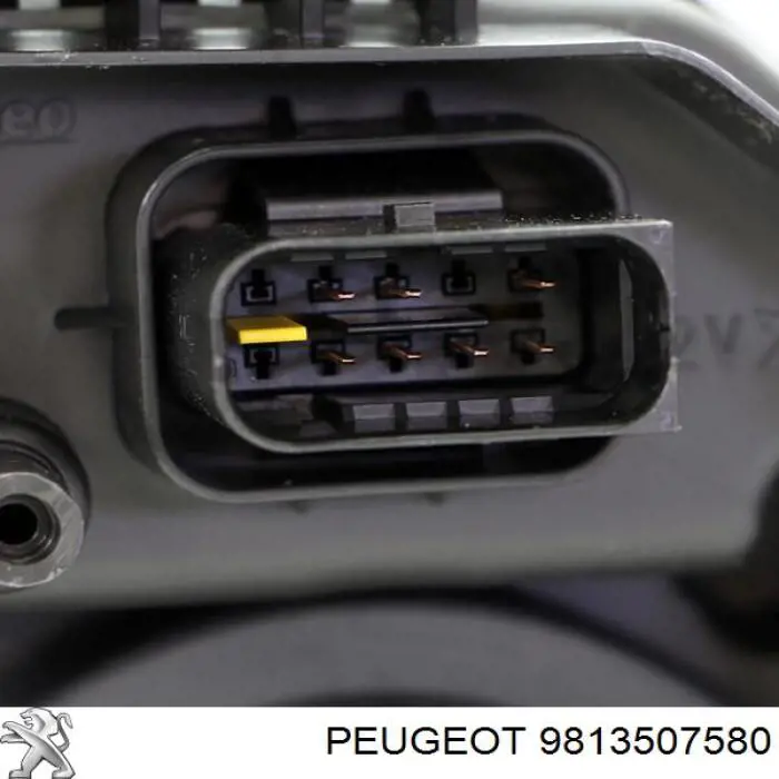 9813507580 Peugeot/Citroen Основна фара - вставка