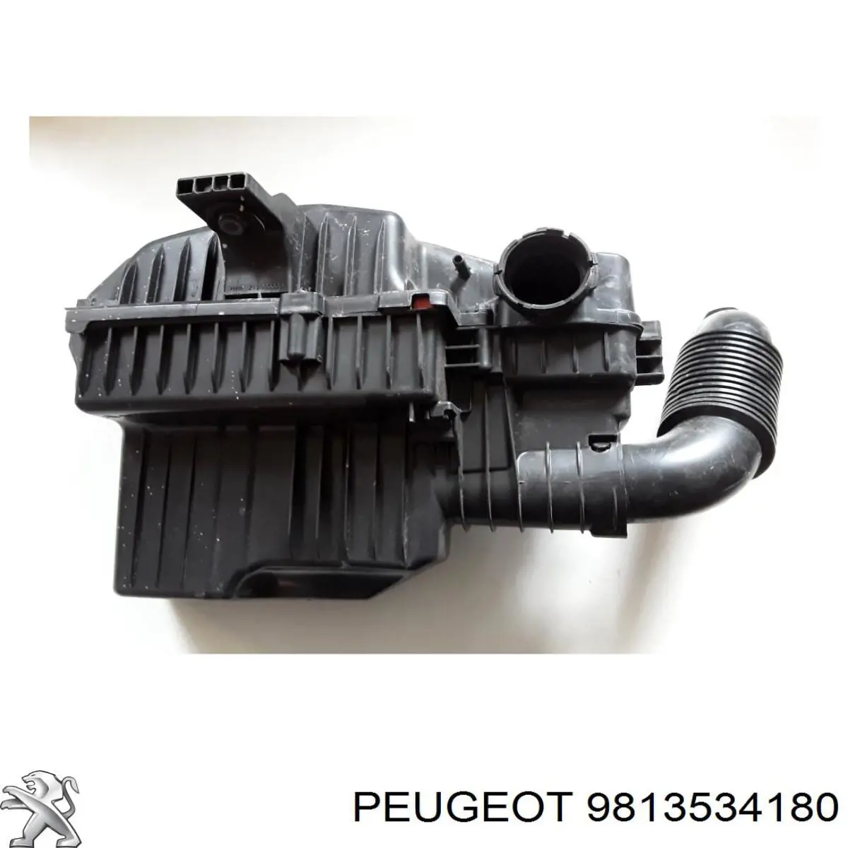 9813534180 Peugeot/Citroen 