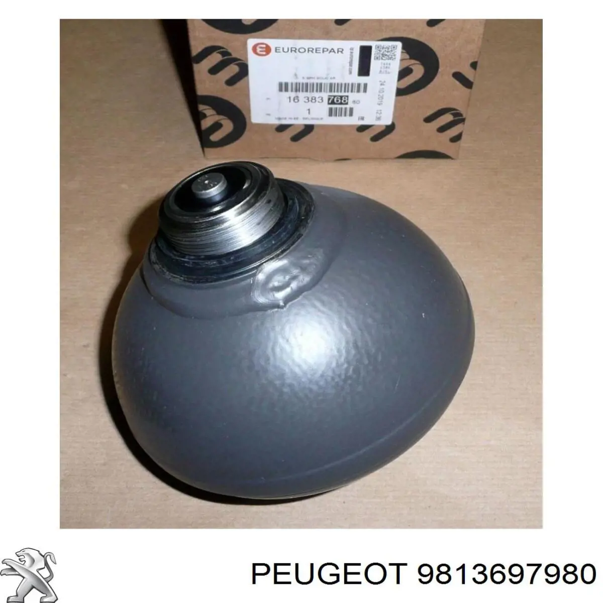 Купити 9813697980 Peugeot/Citroen 