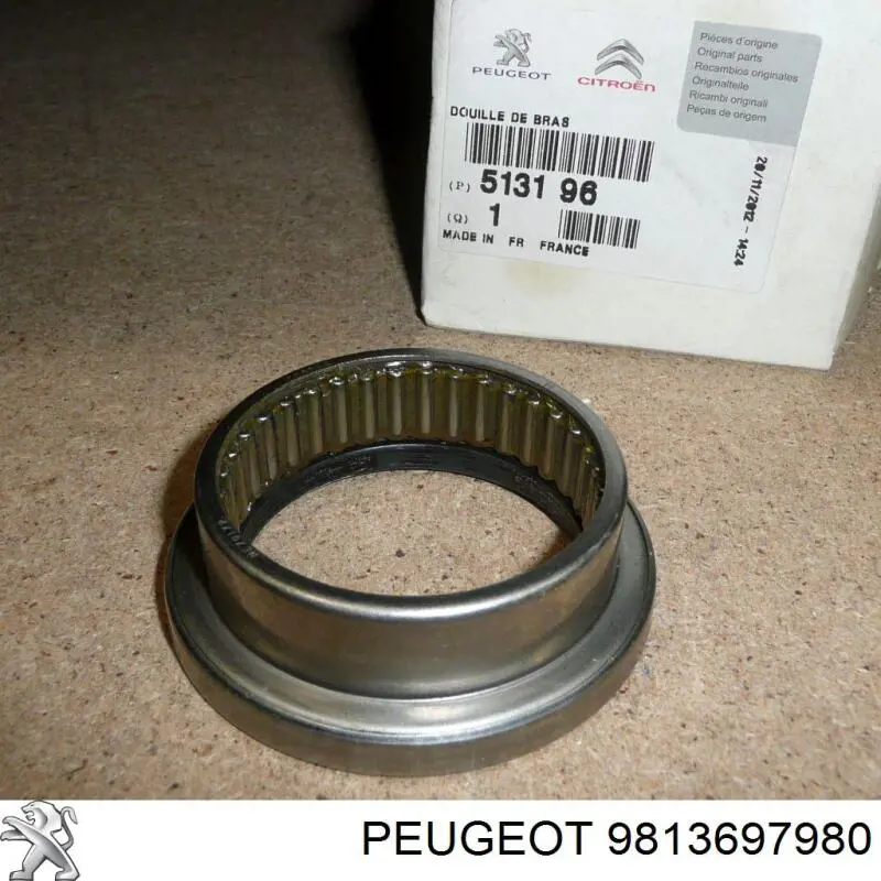  9813697980 Peugeot/Citroen