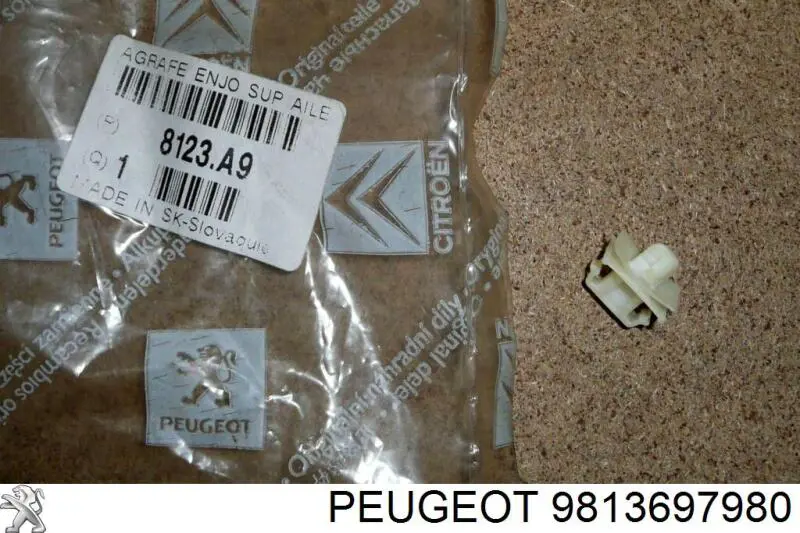  Peugeot/Citroen 9813697980 ціна, від 22.90 USD
