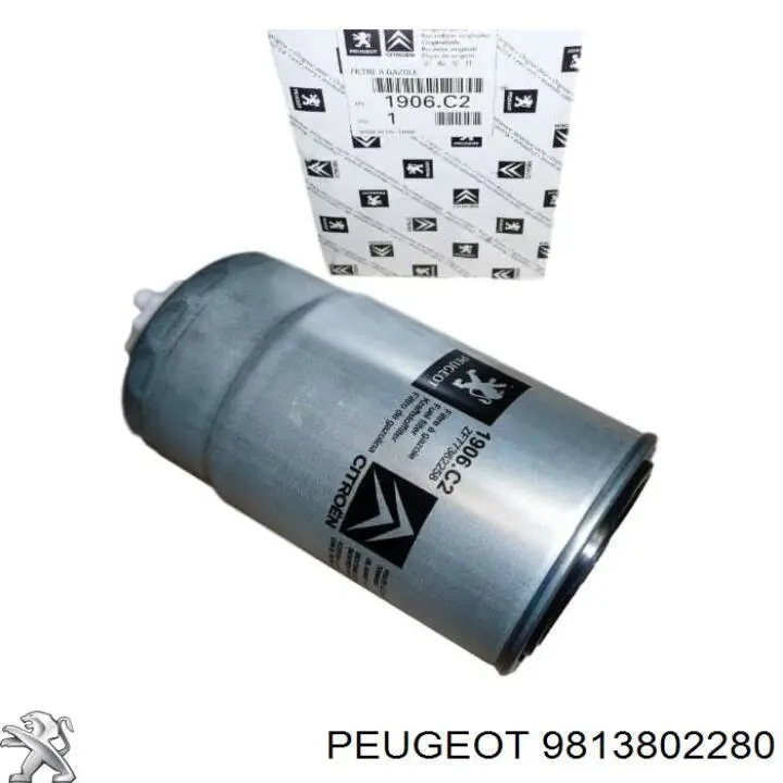 9813802280 Peugeot/Citroen Фільтр палива