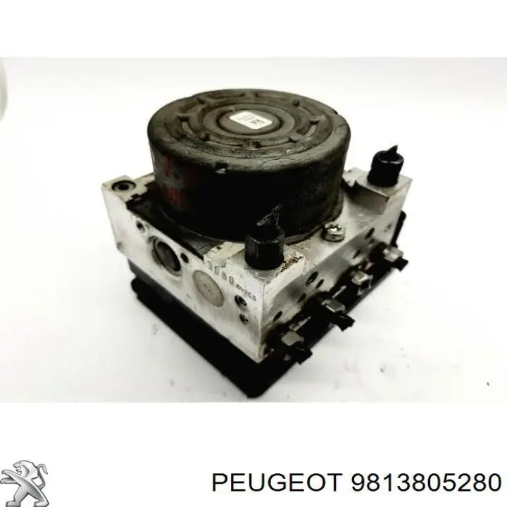  9813805280 Peugeot/Citroen