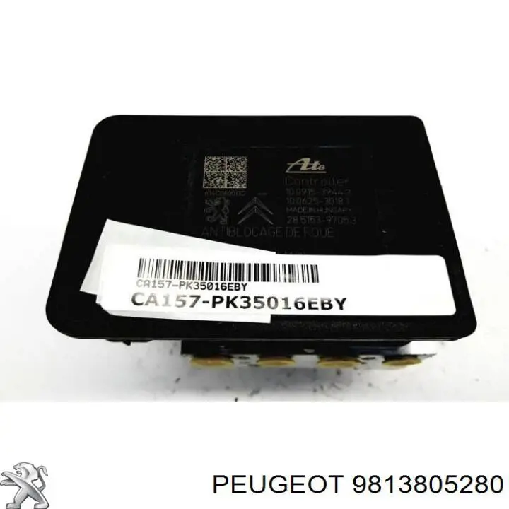 9813805280 Peugeot/Citroen 
