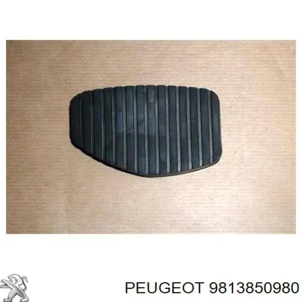 9813850980 Peugeot/Citroen Кришка заливної горловини бака AD BLUE